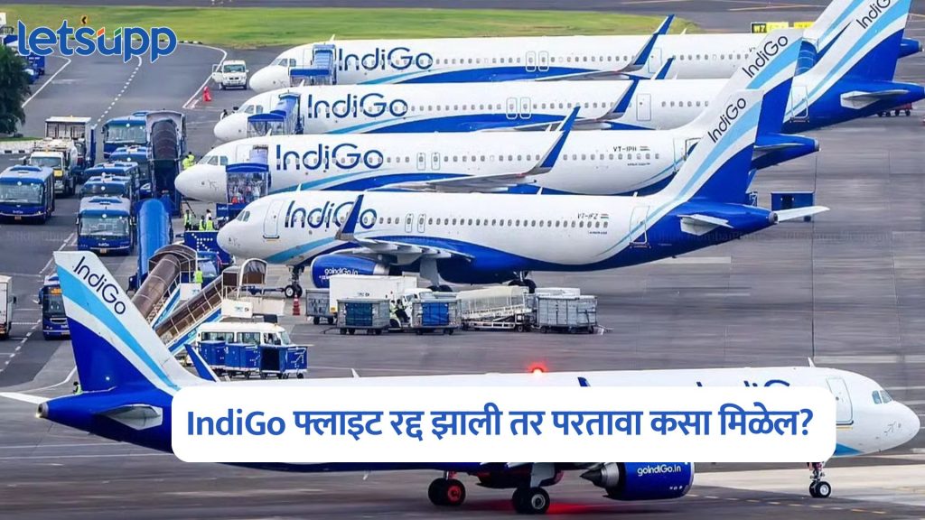 IndiGo Flight