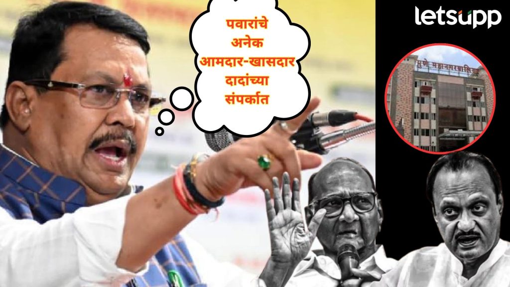 Video : वडेट्टीवारांच्या मनात संशय कल्लोळ; म्हणाले, पवार साहेब पुरोगामी विचारधारेला हरताळ फासून....