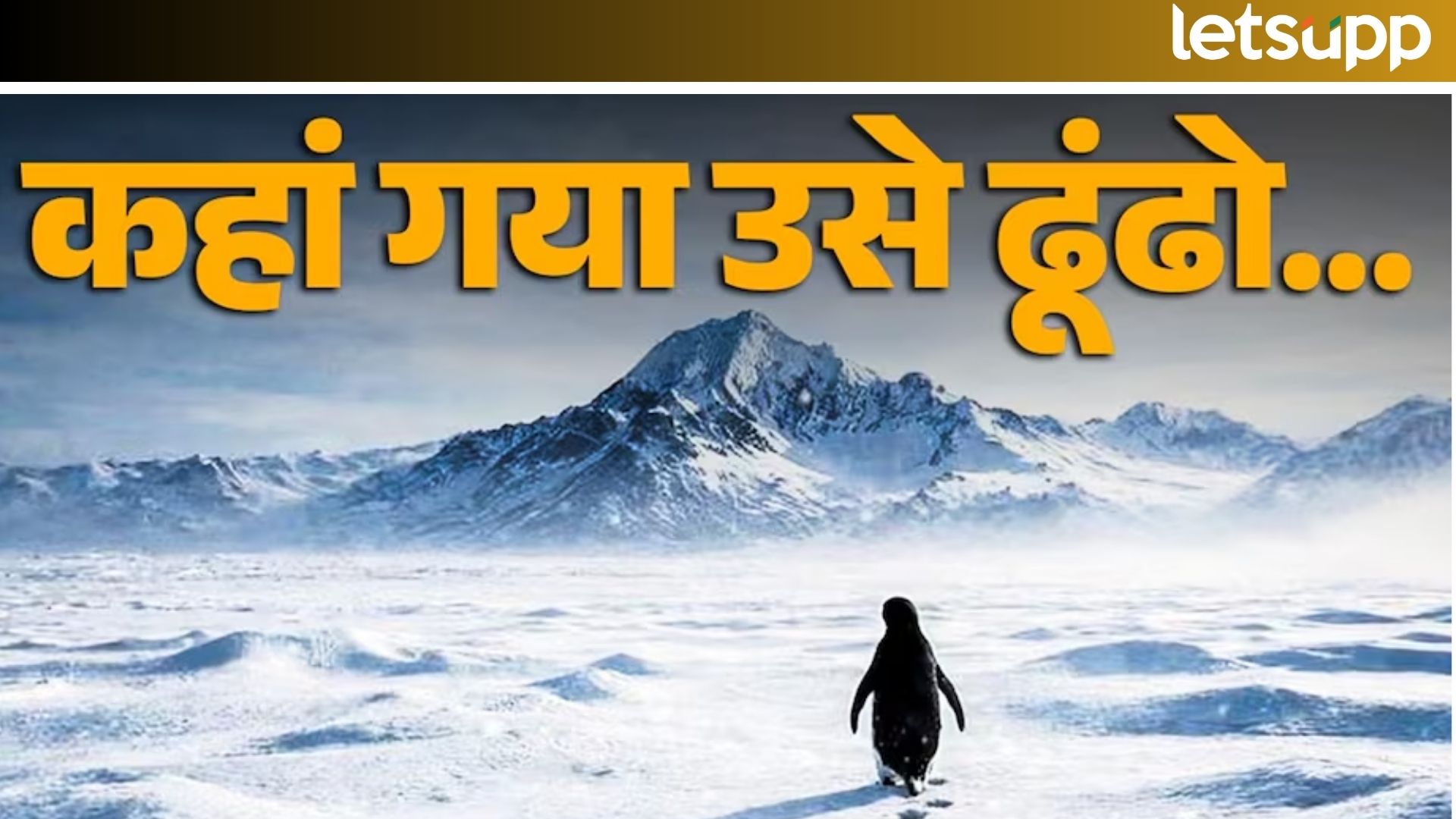 Viral Penguin : मृत्यूची दिशा की, स्वतःचा शोध? कळप सोडून एकट्या निघालेल्या पेंग्विनची गोष्ट… Viral Penguin : मृत्यूची दिशा की, स्वतःचा शोध? कळप सोडून एकट्या निघालेल्या पेंग्विनची गोष्ट...