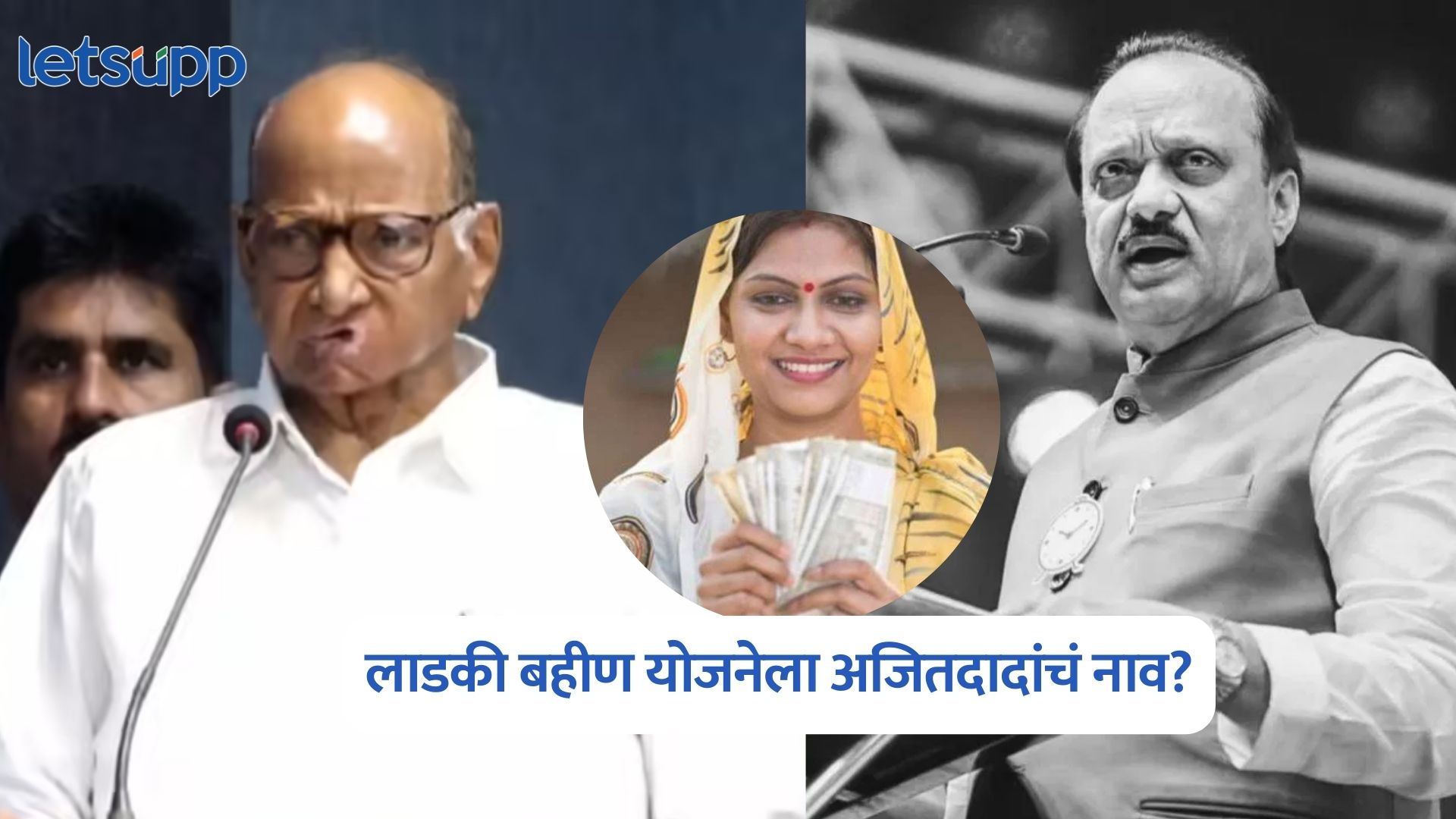Sharad Pawar On Ladki Bahin Yojana