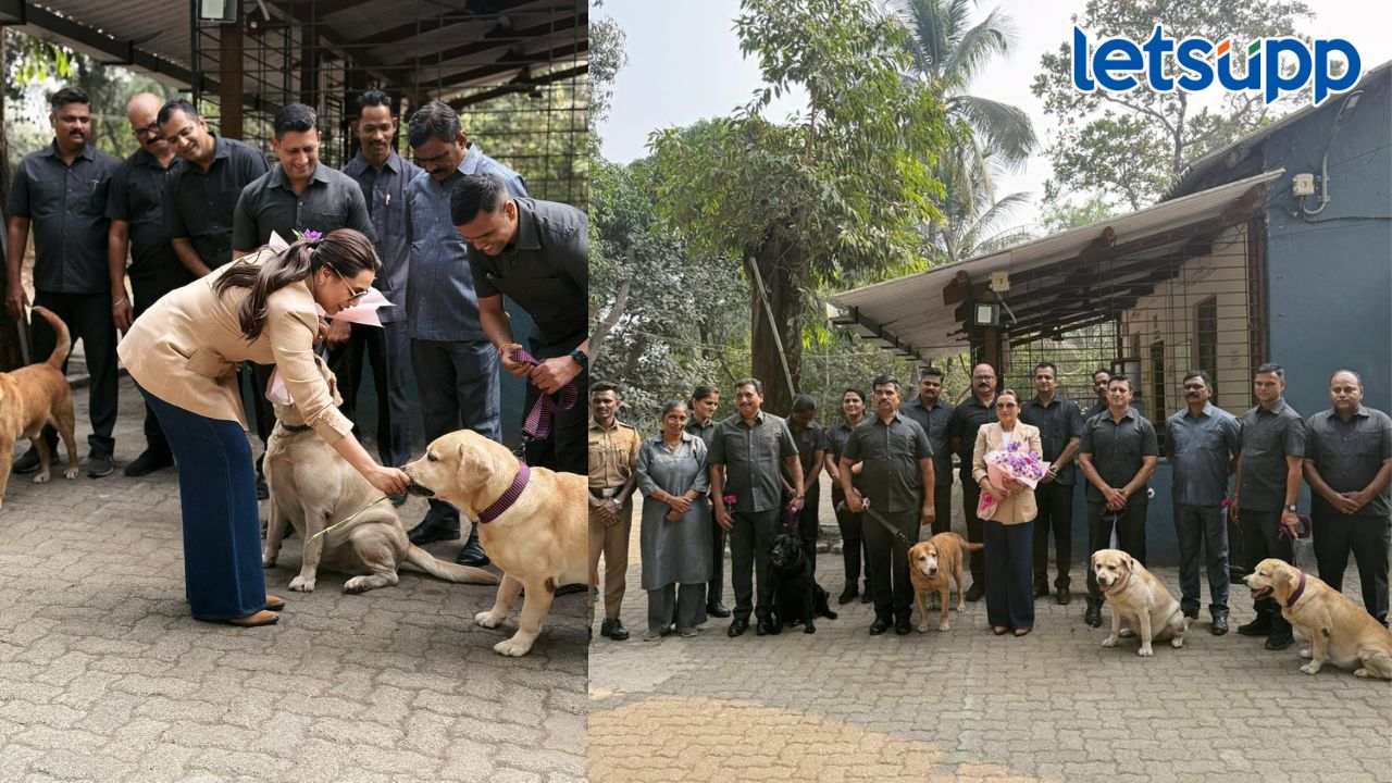 Untitled Design   2026 02 02T090312.690