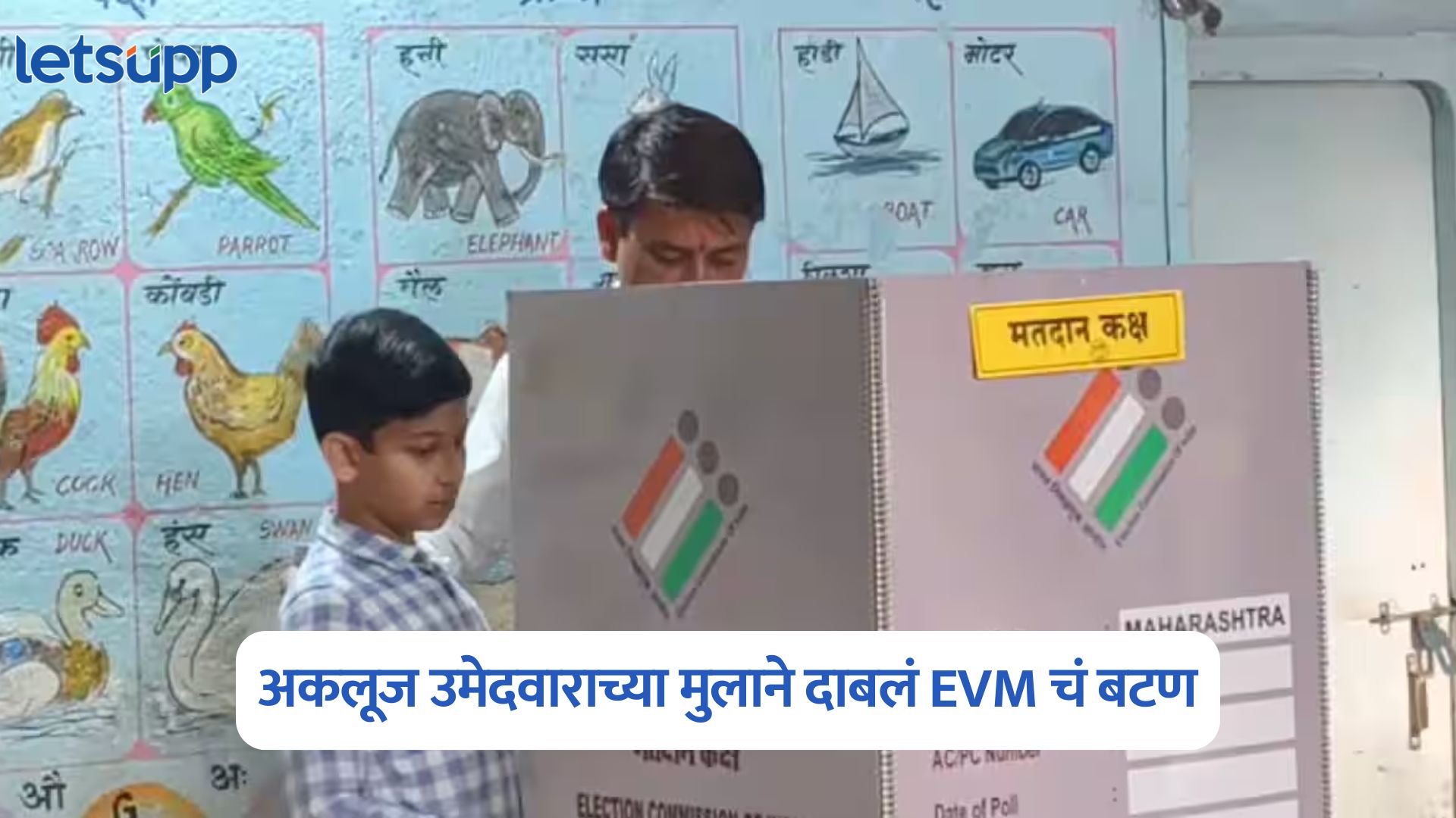 Zilla Parishad Election