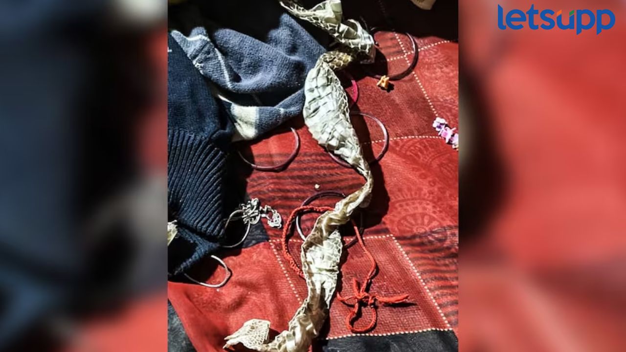 UP woman flees home after leaving snake skin On bed