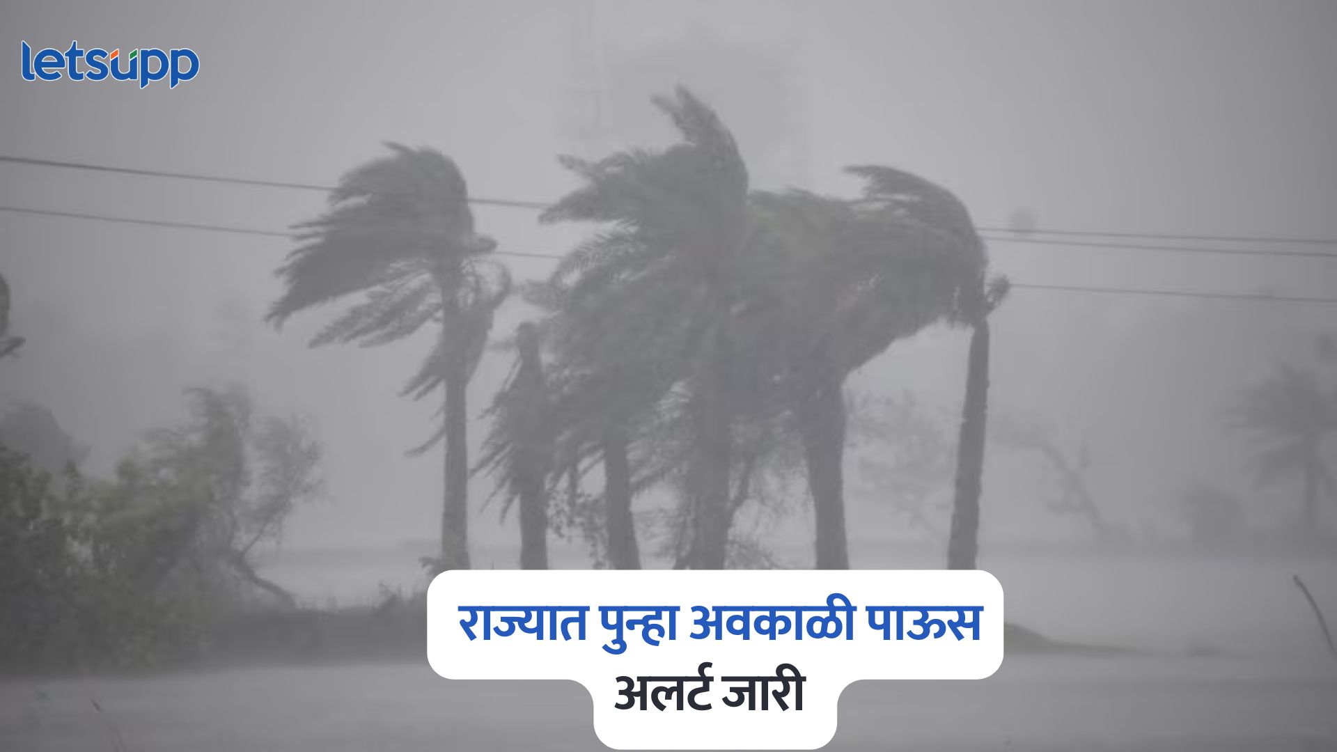 Maharashtra Rain Alert