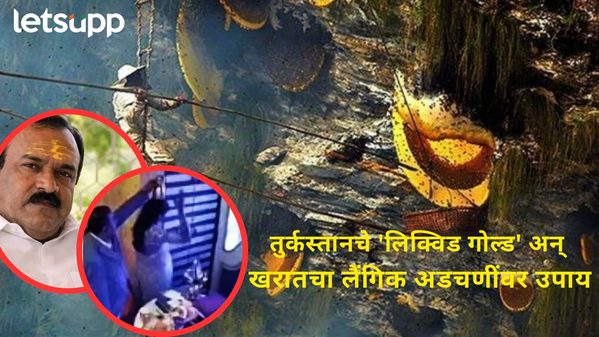 Ashok Kharat : अचाट शक्तिवर्धक अन् कामोत्तेजक वाढवणारा तुर्कितील एल्विश मध कसा तयार होतो?