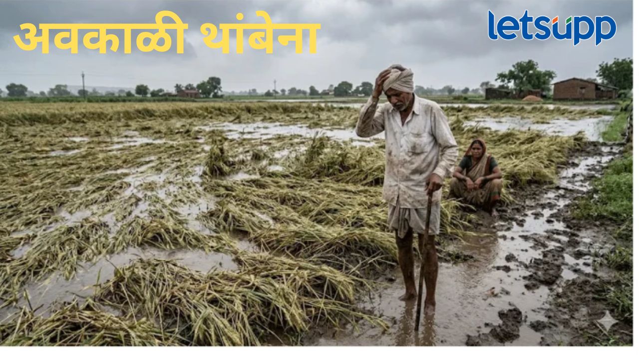 News Photo   2026 04 01T190326.703