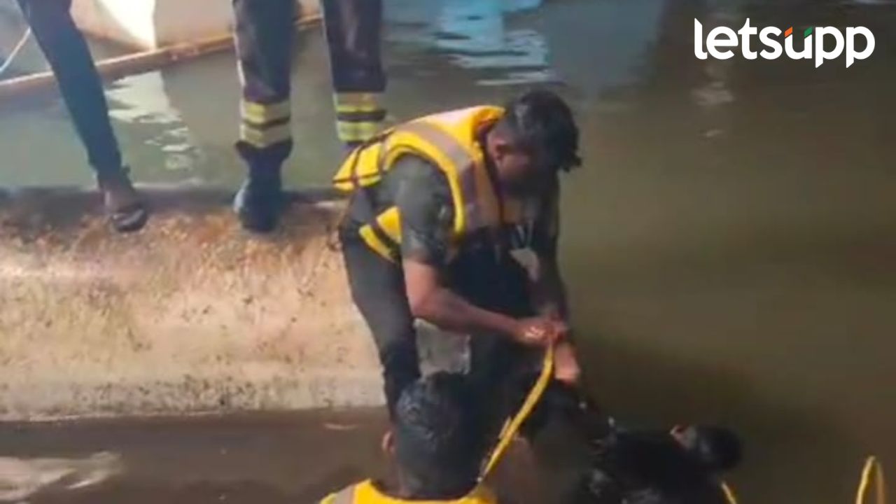 News Photo   2026 04 03T162219.107