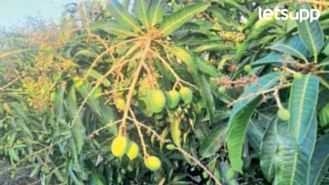 News Photo   2026 04 03T181750.908