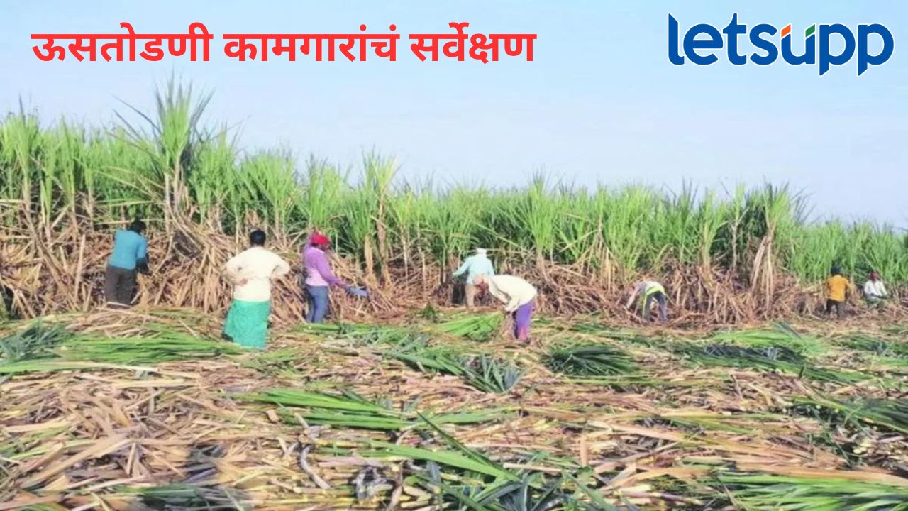 News Photo   2026 04 04T155336.008