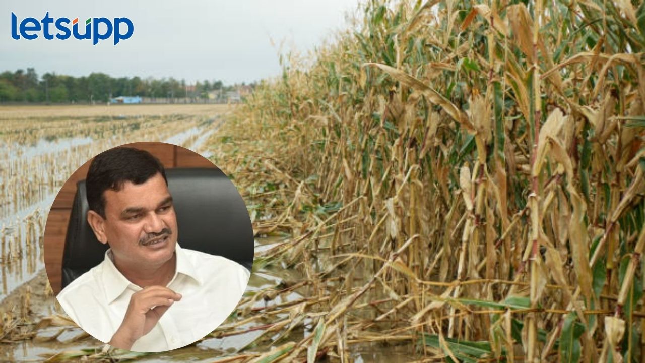 News Photo   2026 04 04T200807.929