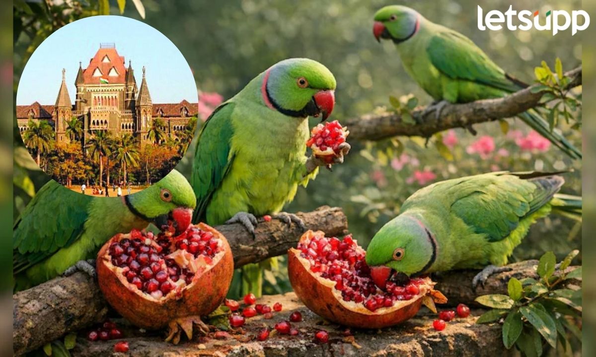 Farmers Get Compensation By Birds Damage