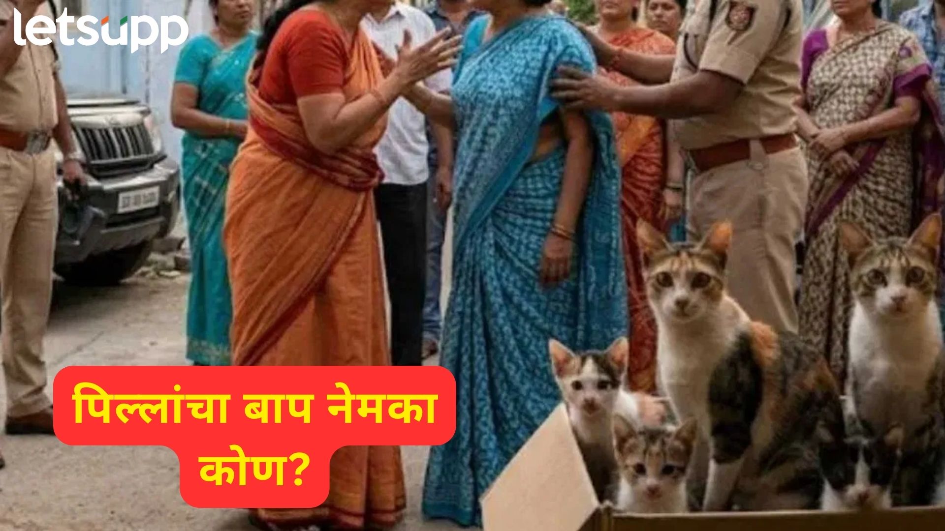 ऐकावं ते नवलच! पिल्लं हुबेहूब तुमच्या बोक्यासारखीच; मजा मारलेल्या बोक्यामुळे शेजाऱ्यांत तुफान राडा