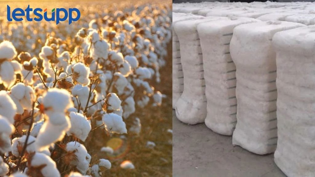 COTTON SHORTAGE