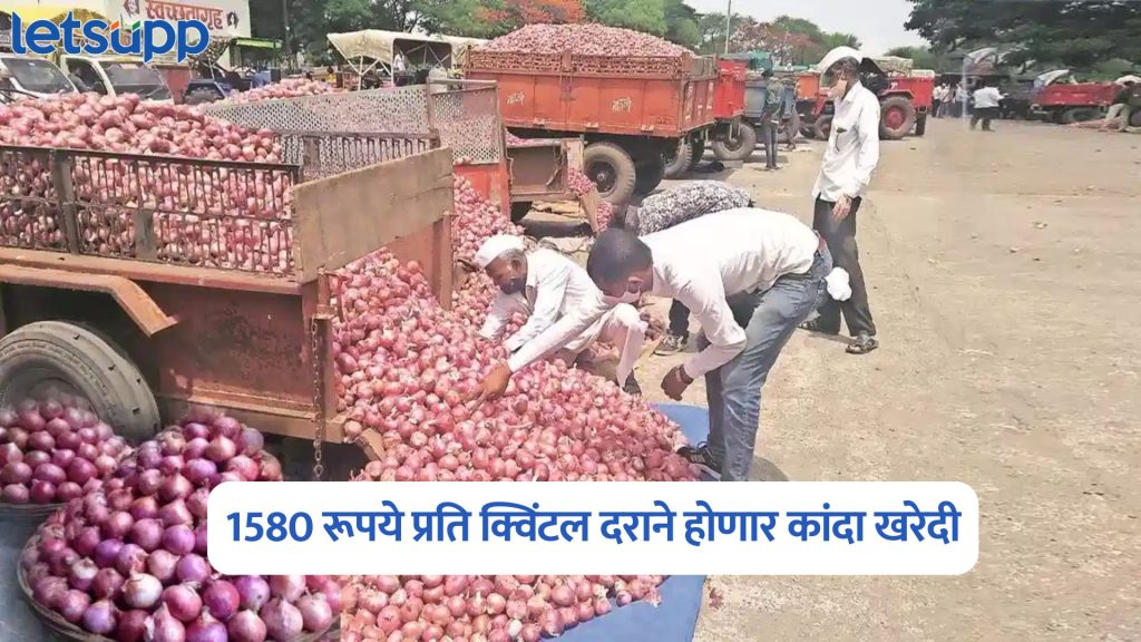 Onion Price