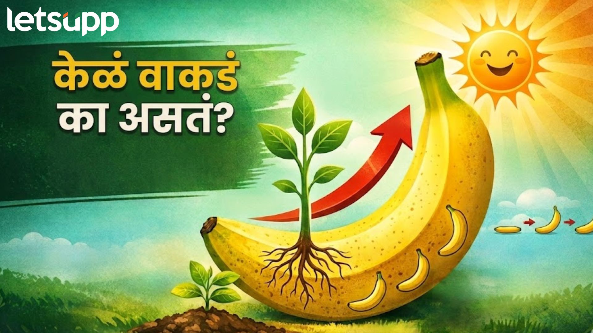 Banana Shape : सगळी फळं गोल, मग केळंच का 'वाकडं'?; तुम्हाला पडलेल्या प्रश्नाचं उत्तरं सापडलं!