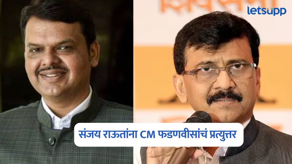 Devendra Fadnavis On Sanjay Raut