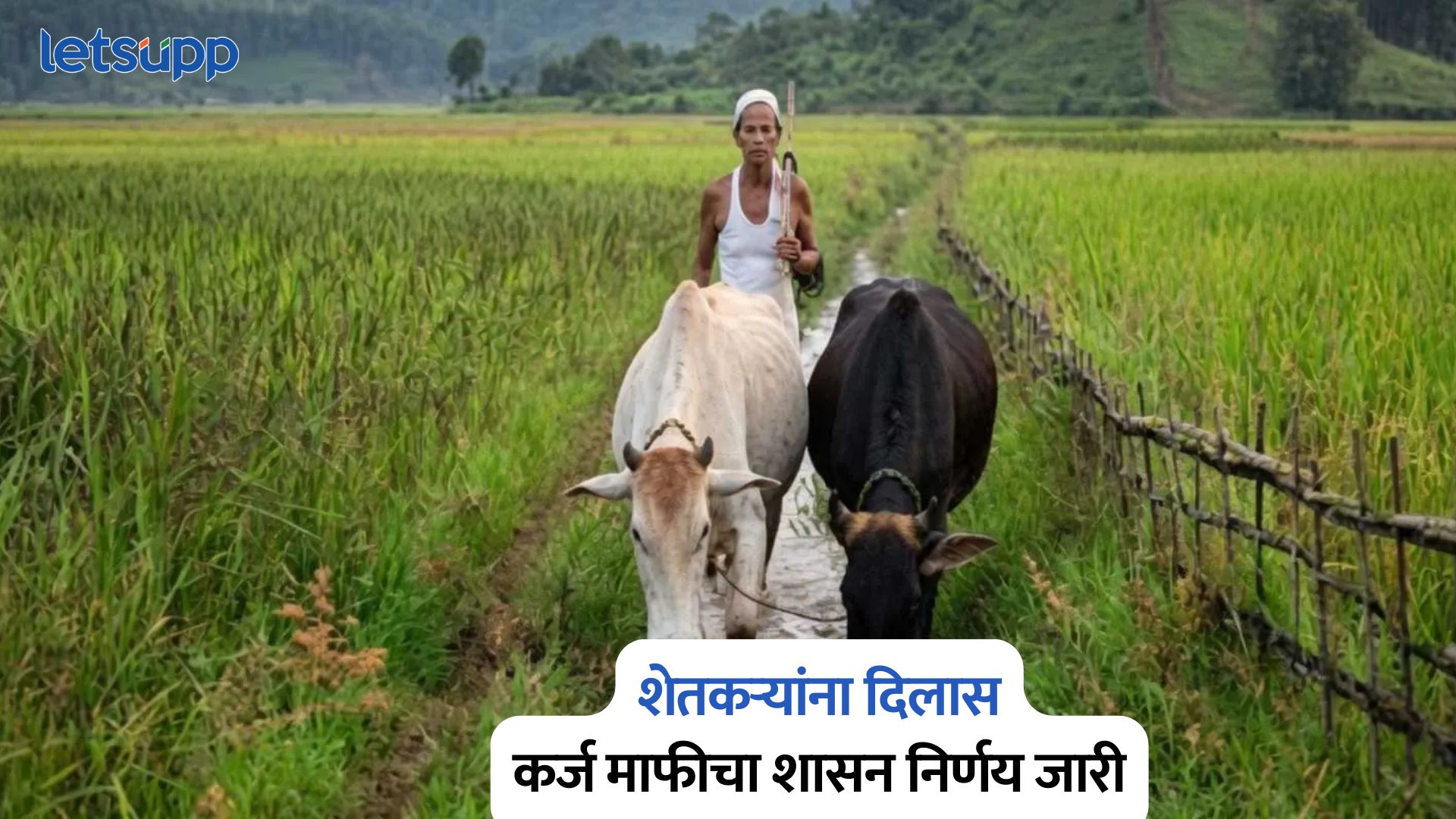 Farmer Loan Waiver