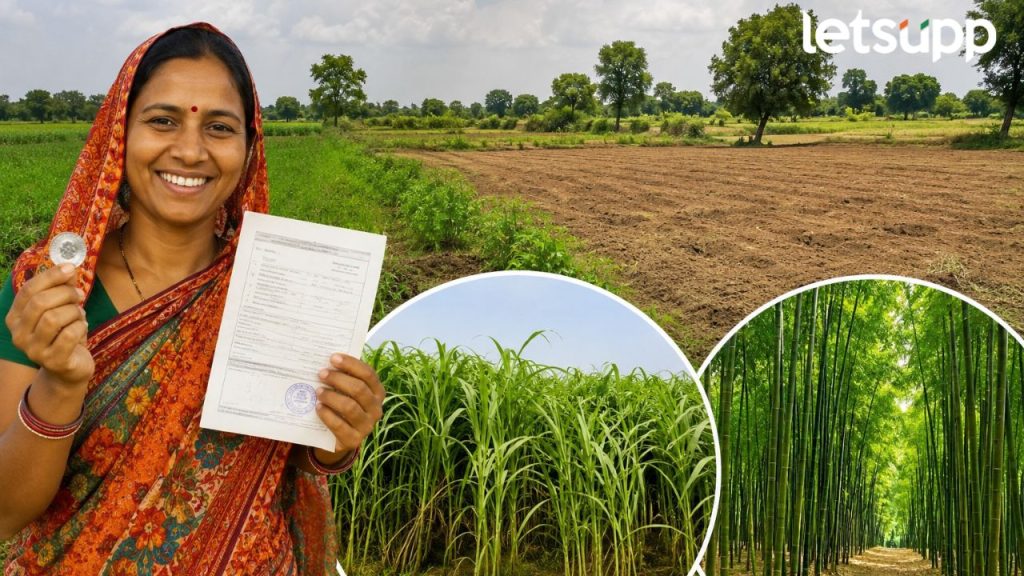 Rajmata Jijau Women Empowerment Scheme
