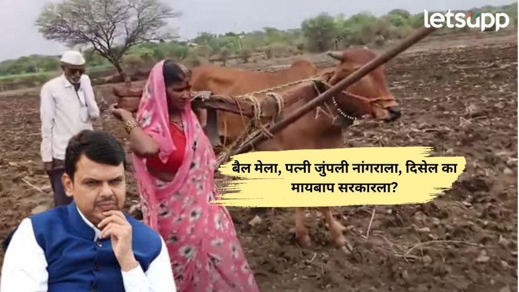 Latur Farmer