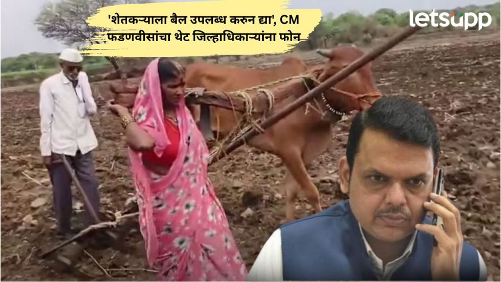 latur news