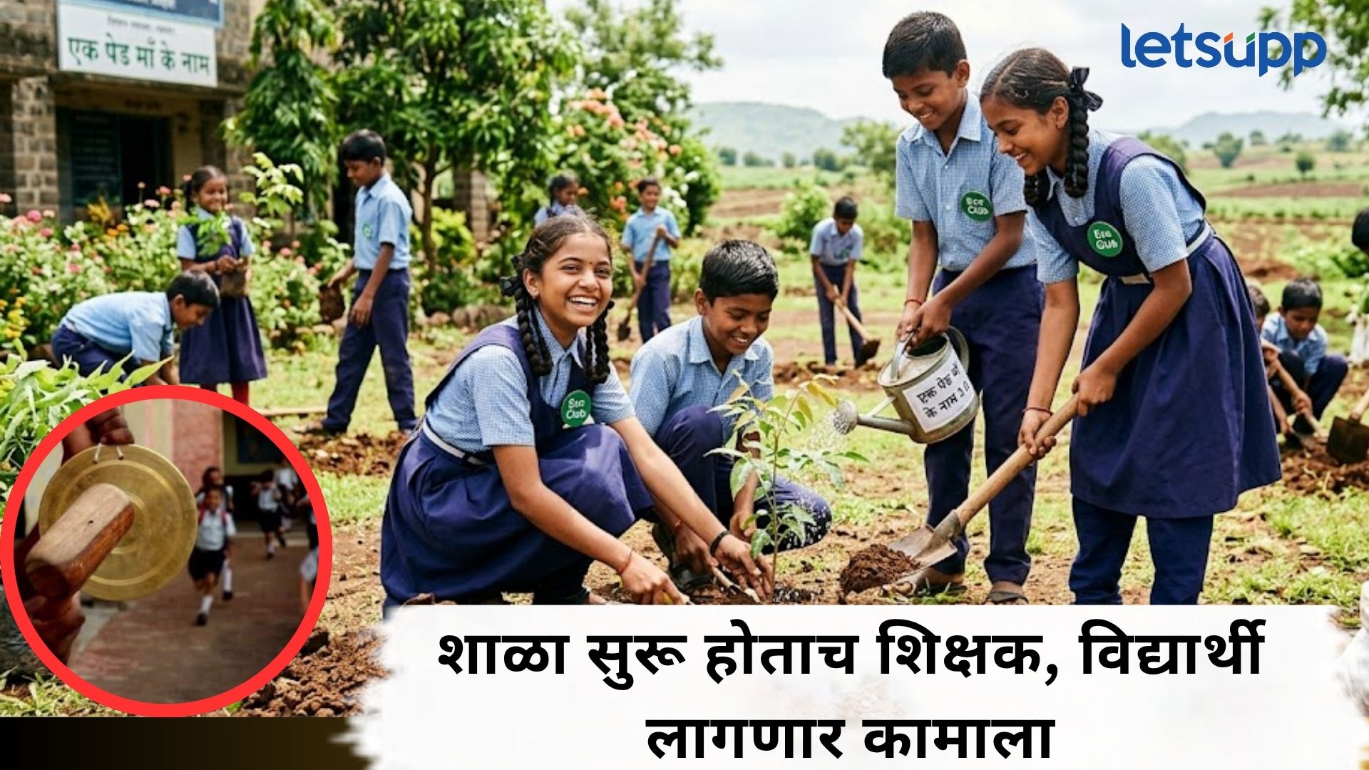 Tree Plantation In School