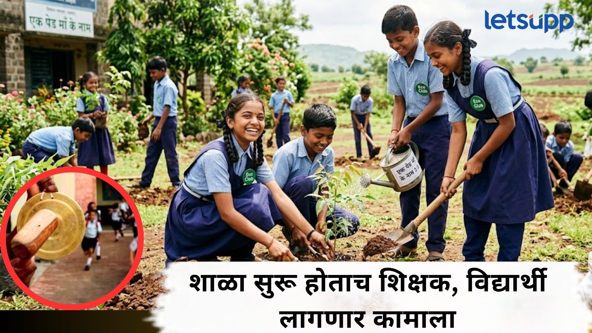 Tree Plantation In School