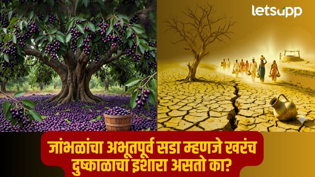 Jamun Fruit