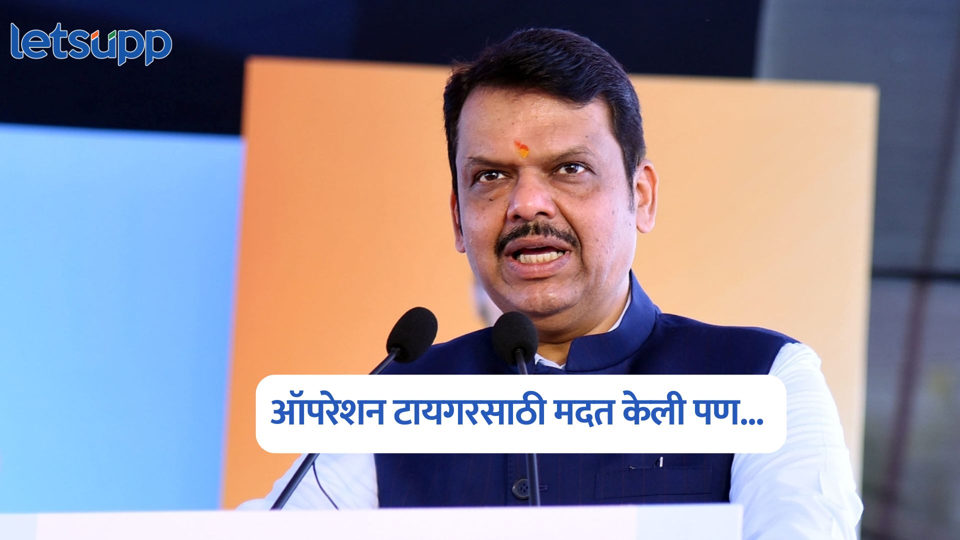 Devendra Fadnavis On Operation Tiger