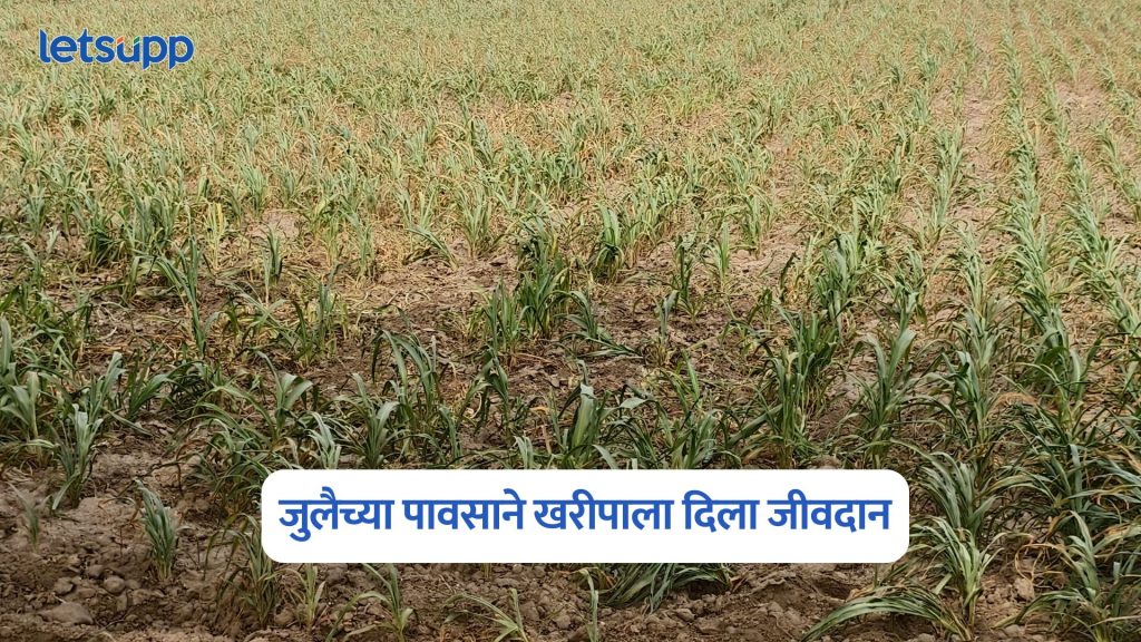 Kharif Crops