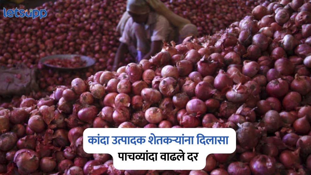 Onion Price Hikes
