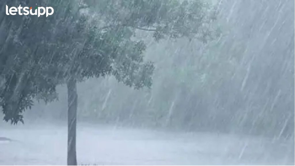 Heavy Rain