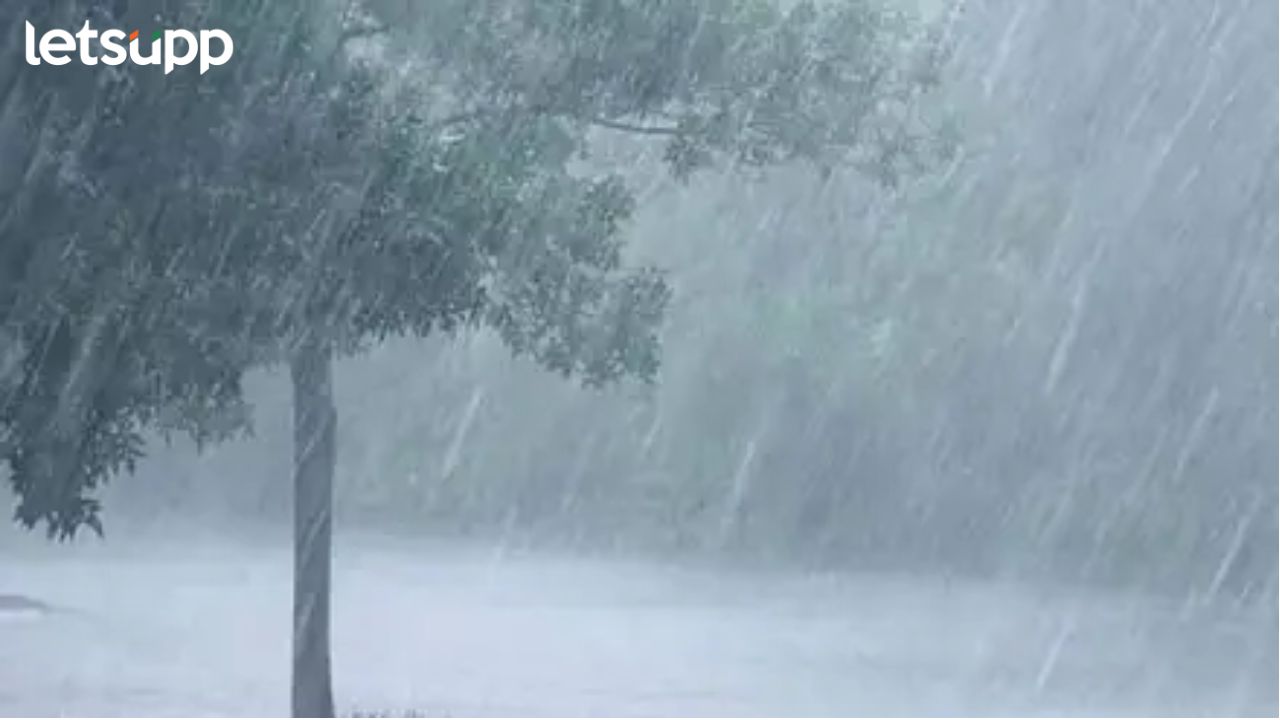 Heavy Rain