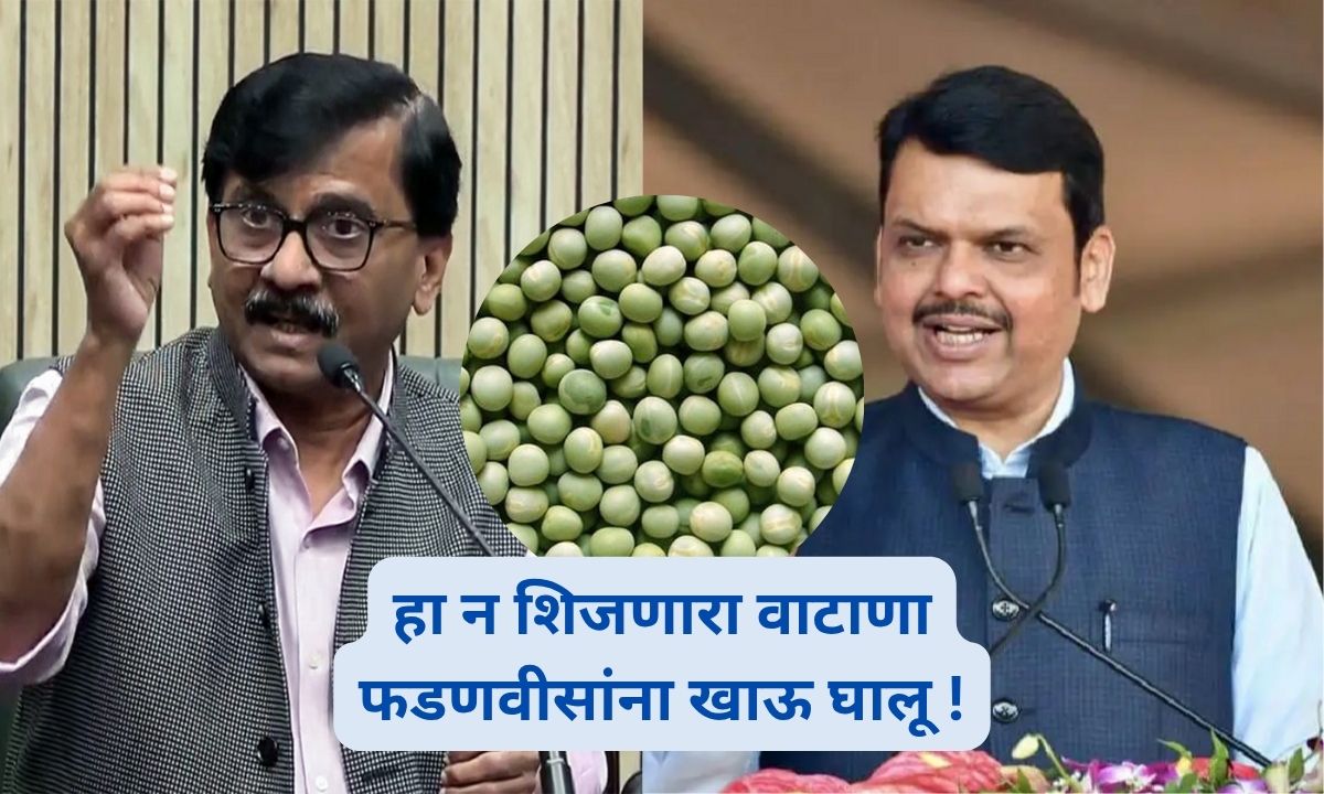 Sanjay Raut targets Fadnavis