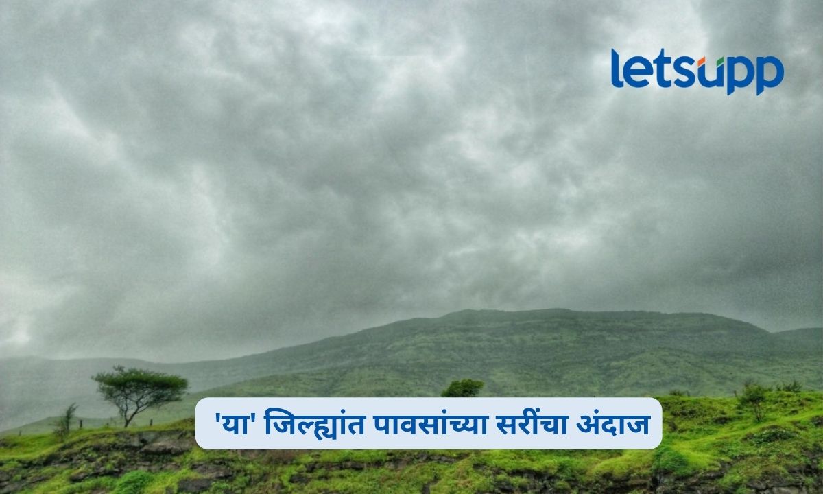 गोंदिया-गडचिरोलीला यलो अलर्ट; मुसळधार पावसाची शक्यता, ‘या’ जिल्ह्यांतही सरींचा अंदाज Maharashtra Weather Today