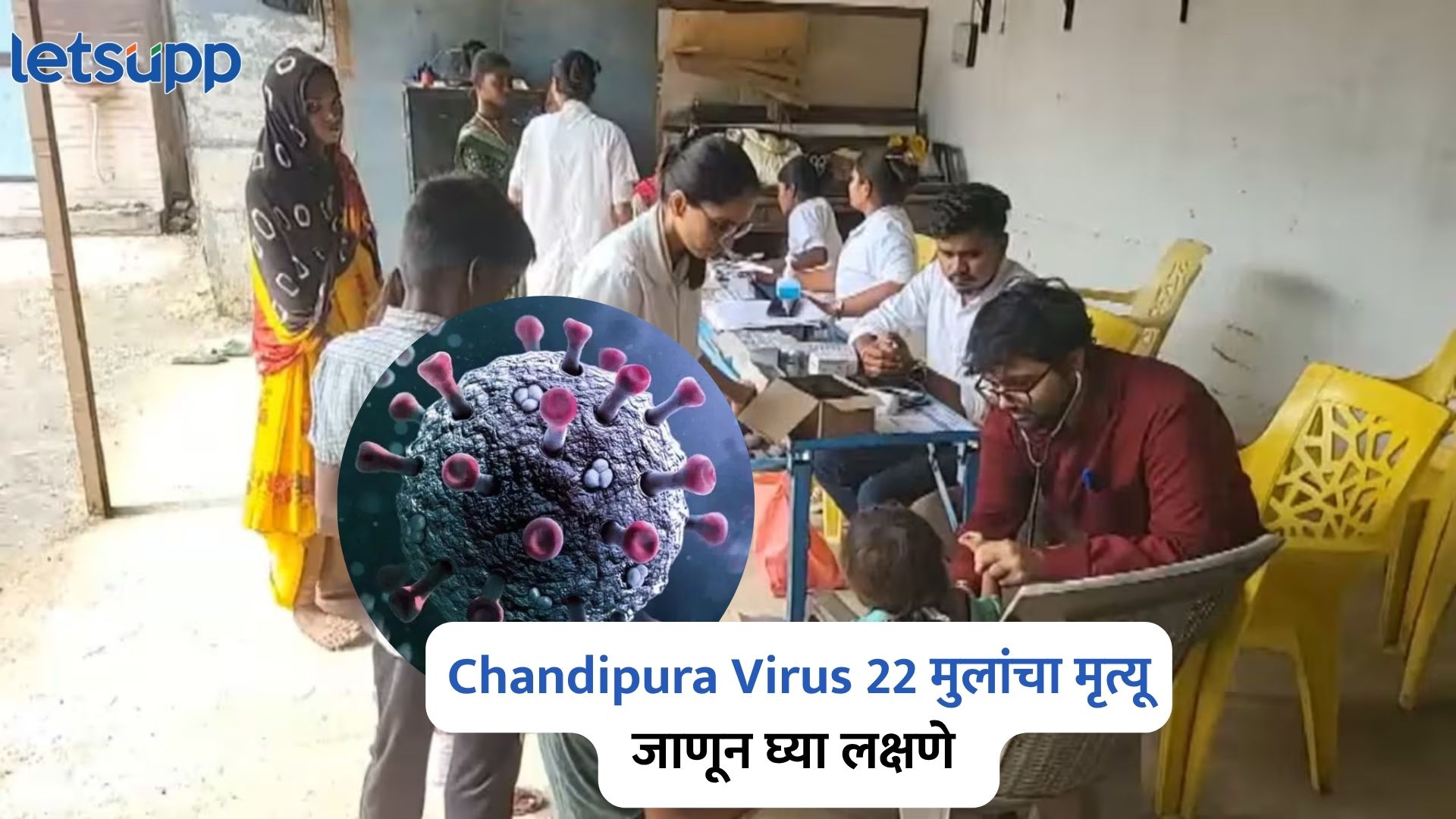 Chandipura Virus