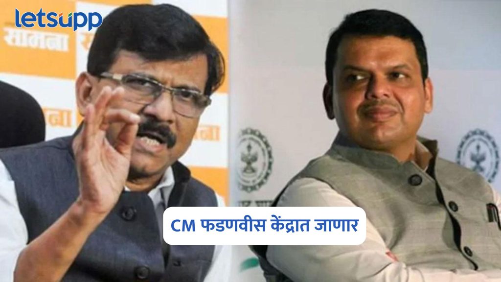 Sanjay Raut On Devendra Fadnavis