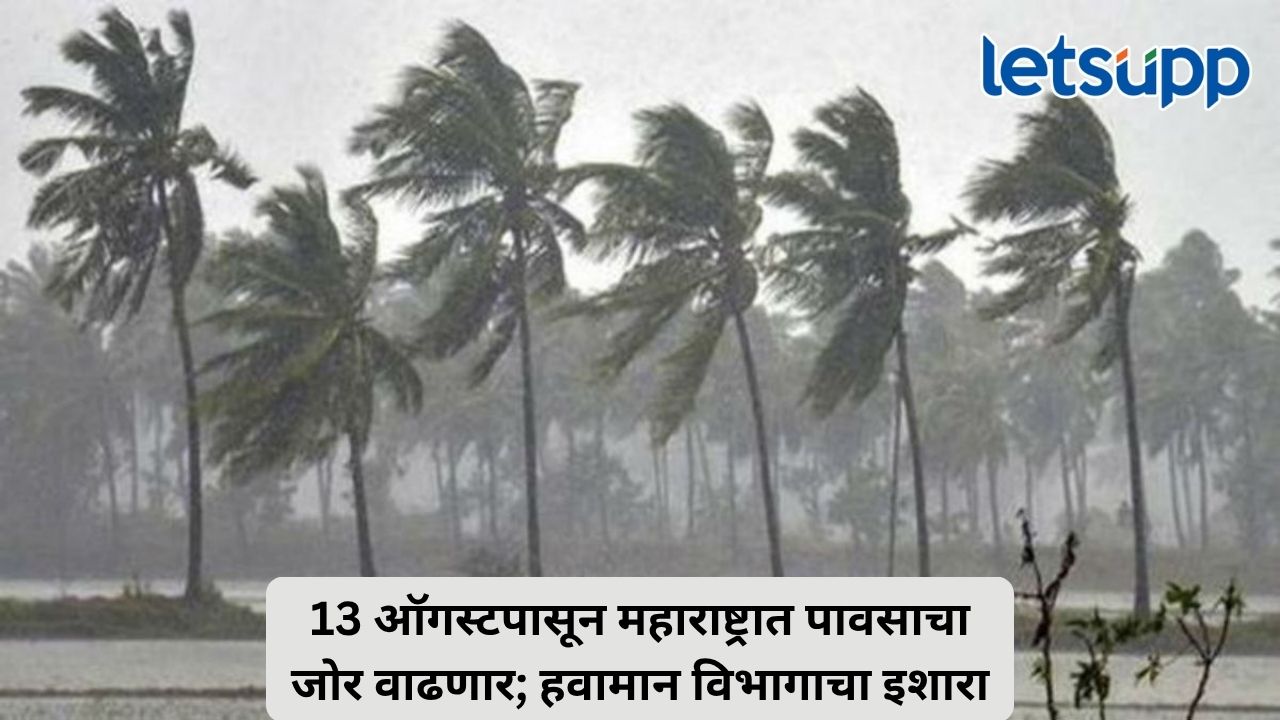 मान्सूनची पुन्हा जोरदार एंट्री; मुंबईसह कोकण, घाटमाथा आणि मध्य महाराष्ट्रात पावसाची तीव्रता वाढण्याचा अंदाज Untitled Design (27)
