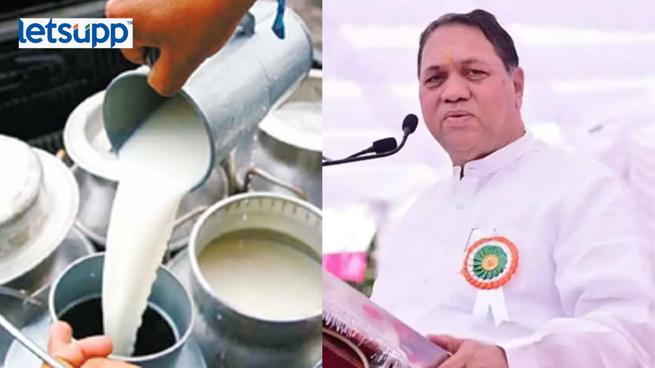 Dilip Walse Patil: "संबंध सिद्ध करा, एका मिनिटात राजकारण सोडेन"