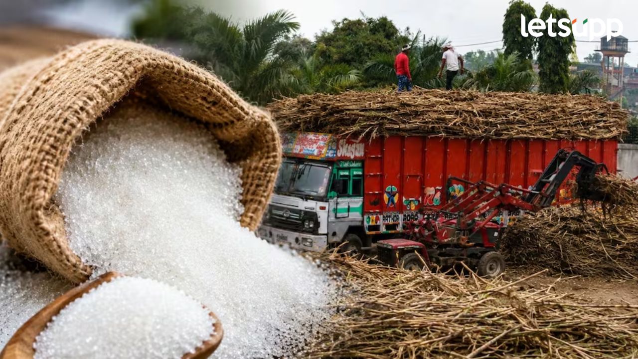 Sugar Price