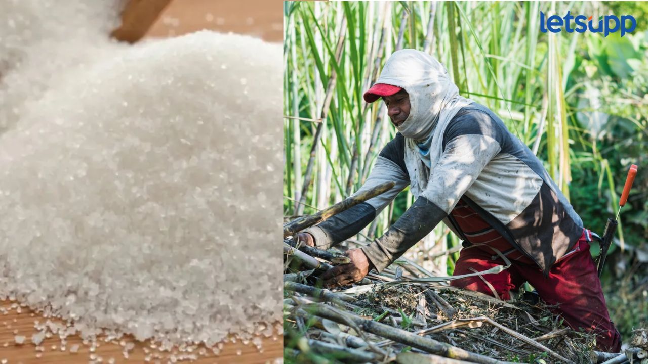 Sugar Price
