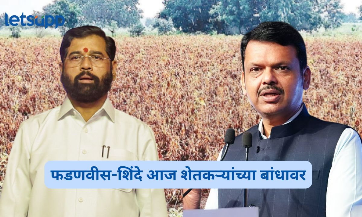 महाराष्ट्रात दुष्काळसदृश्य परिस्थिती; फडणवीस-शिंदे आज शेतकऱ्यांच्या बांधावर Maharashtra Drought