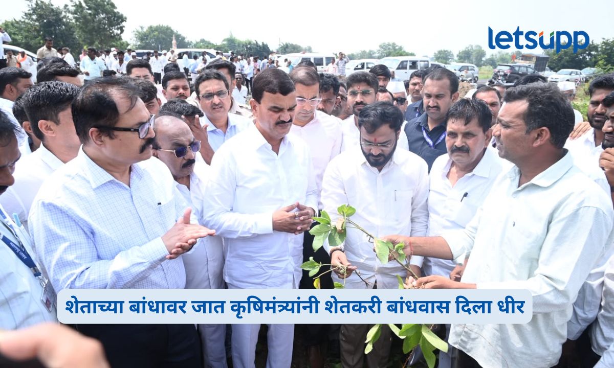 संगमनेरमध्ये भरणेंकडून नुकसानग्रस्त सोयाबीनची पाहणी; शेतकऱ्यांना शासनाकडून सर्वतोपरी मदतीची ग्वाही Dattatray Bharne Visits Sangamner Farmers