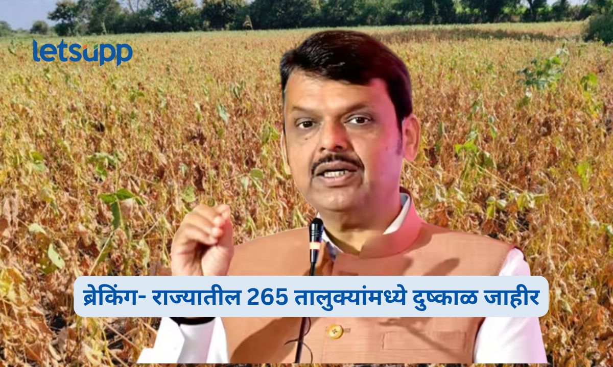 ब्रेकिंग- राज्यातील 265 तालुक्यांमध्ये दुष्काळ जाहीर Maharashtra Drought Declaration