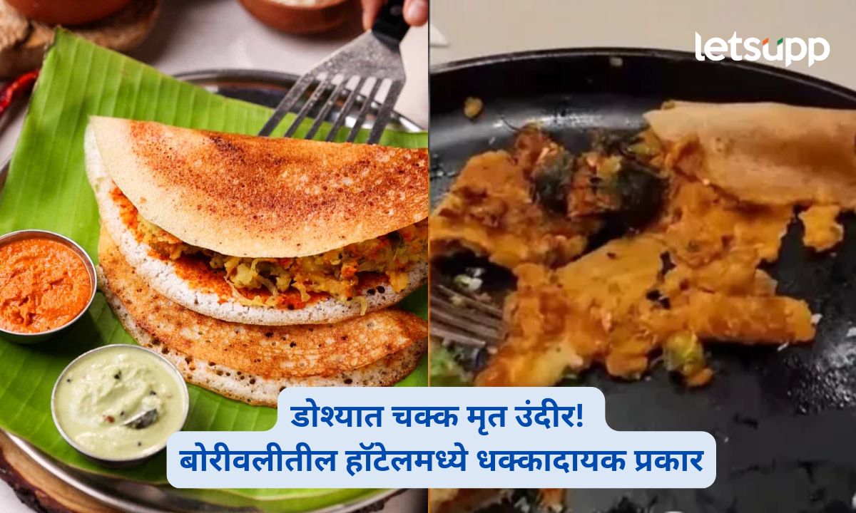 Dead Rat Found in Mysore Masala Dosa at Borivali Hotel