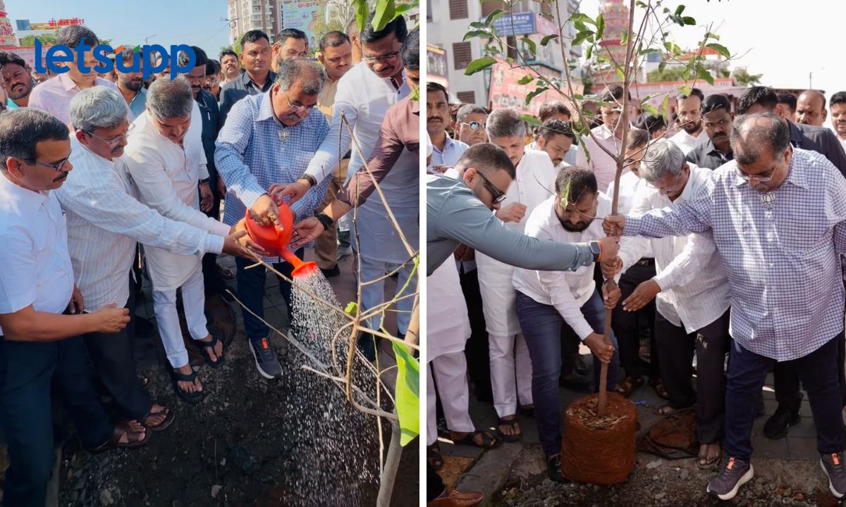 राहुल कलाटे फाऊंडेशनचा उपक्रम, दत्त मंदिर रोडवर 100 बकुळ वृक्षांची लागवड, वाकडच्या हरितीकरणाला चालना