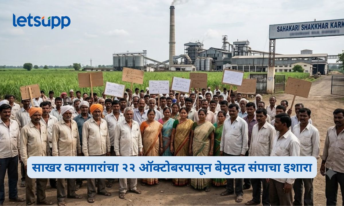 साखर कामगारांचा २२ ऑक्टोबरपासून बेमुदत संपाचा इशारा; साखर कामगार महासंघ व कामगार प्रतिनिधी मंडळाचा निर्णय Maharashtra Sugar Workers Strike