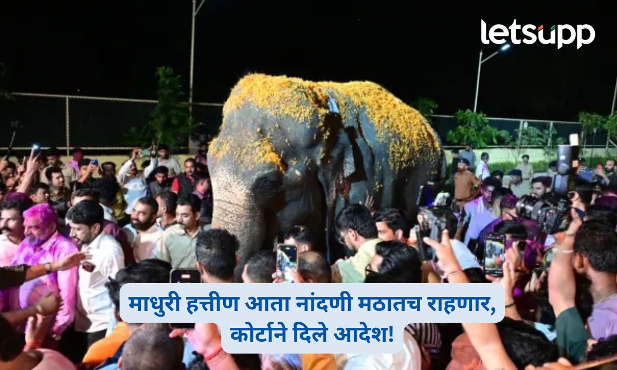 माधुरी हत्तीण नांदणी मठातच राहणार; पेटाची याचिका फेटाळून पेटावरच 25 हजारांचा दंड लावला! Madhuri Elephant PETA Case