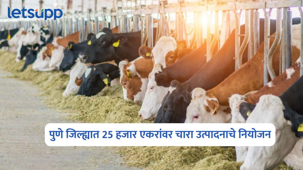 Pune District