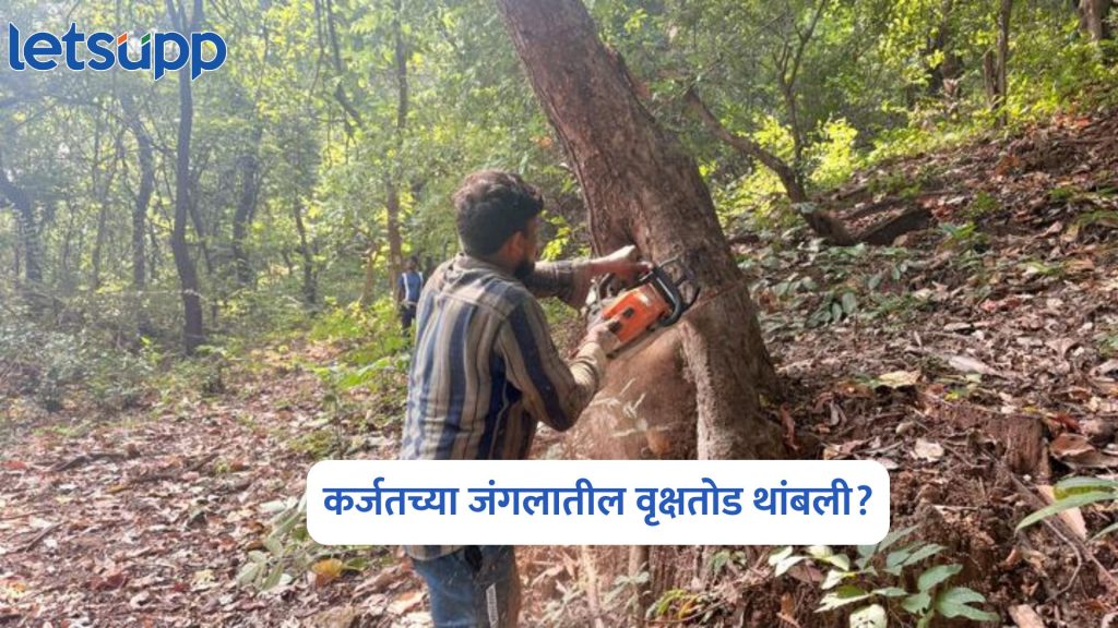 Torrent Power Project