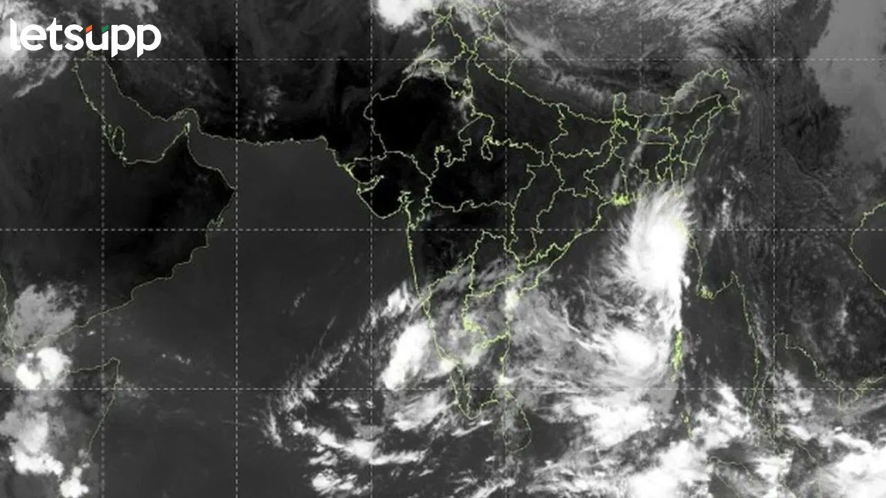 Cyclone